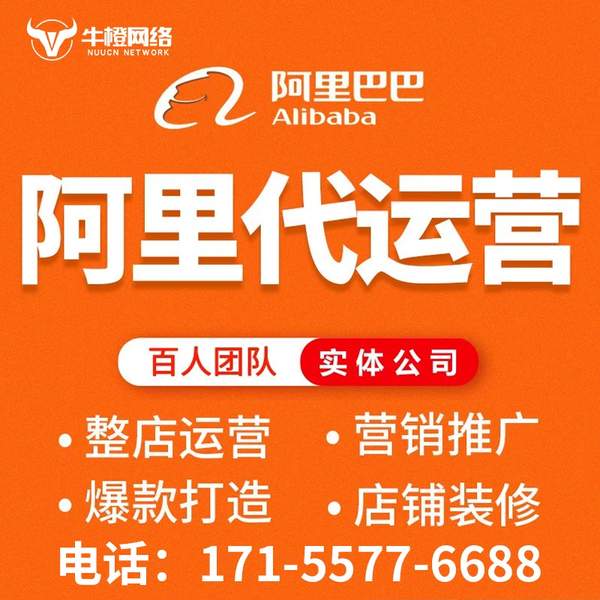 昌吉电商代运营