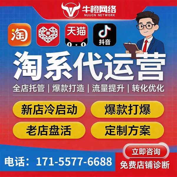 昌吉电商代运营