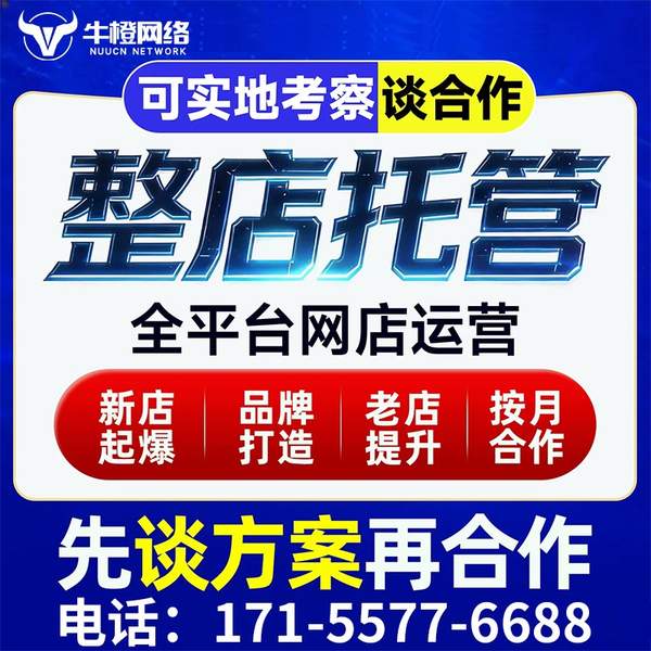 昌吉电商代运营
