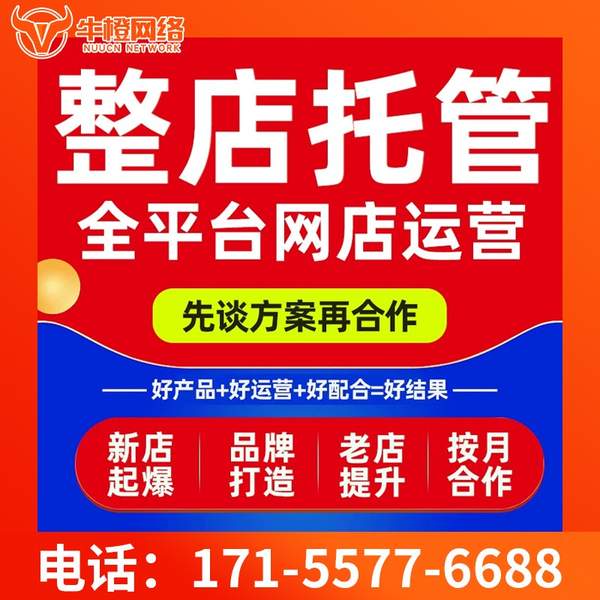 昌吉电商代运营