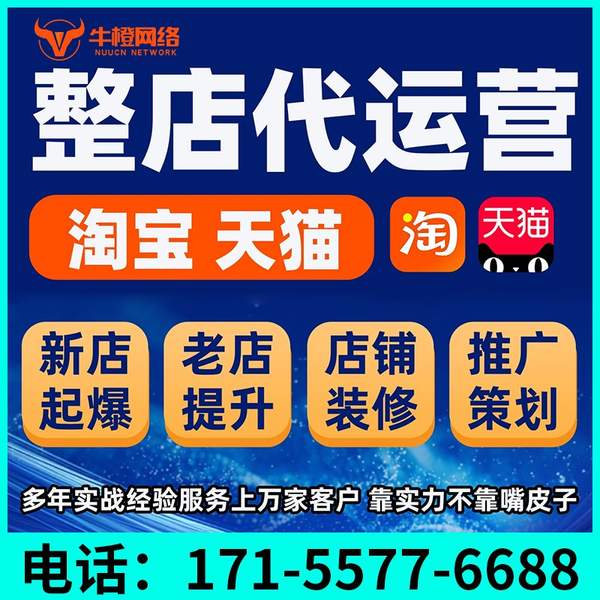 昌吉电商代运营