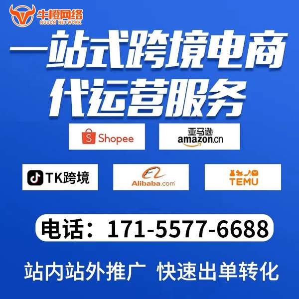 昌吉电商代运营