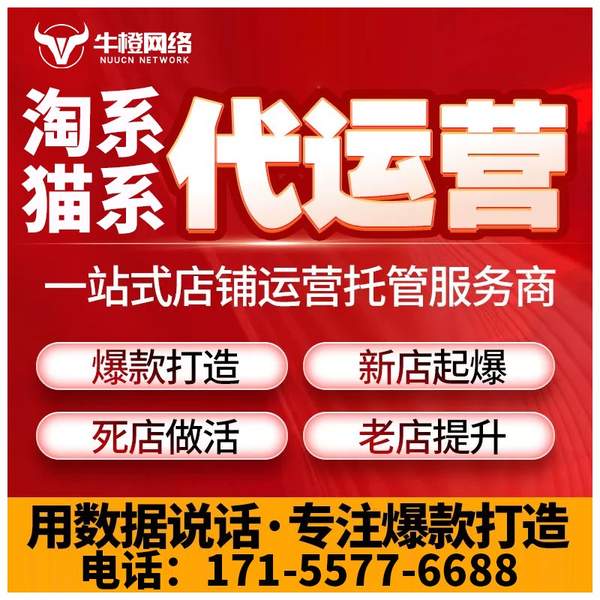 昌吉电商代运营